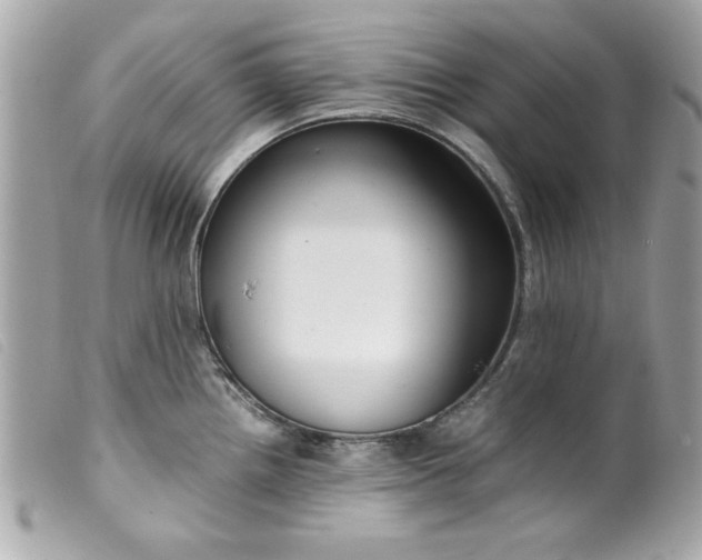 X0000099531242200805301433
