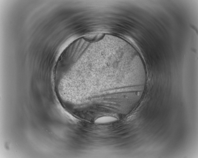 X0000099531243200805301433