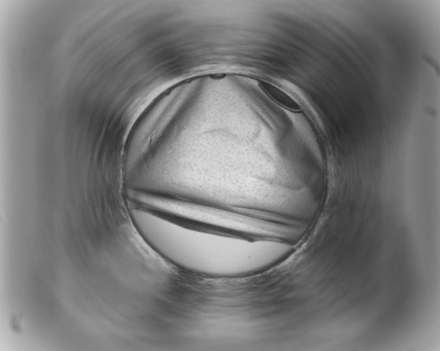 X0000099531244200805301433