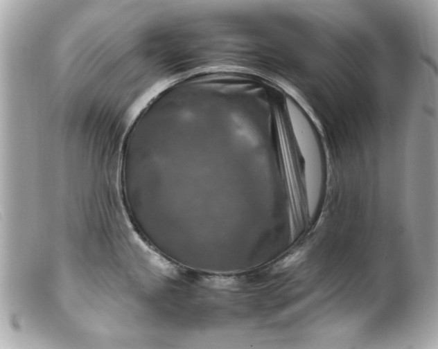 X0000099531245200805301433