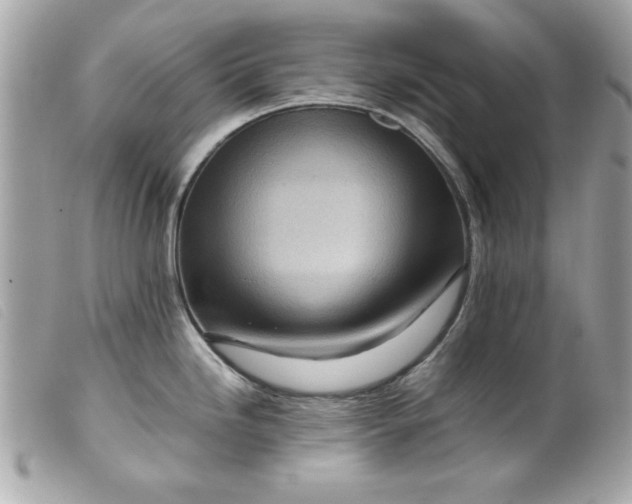 X0000099531246200805301433