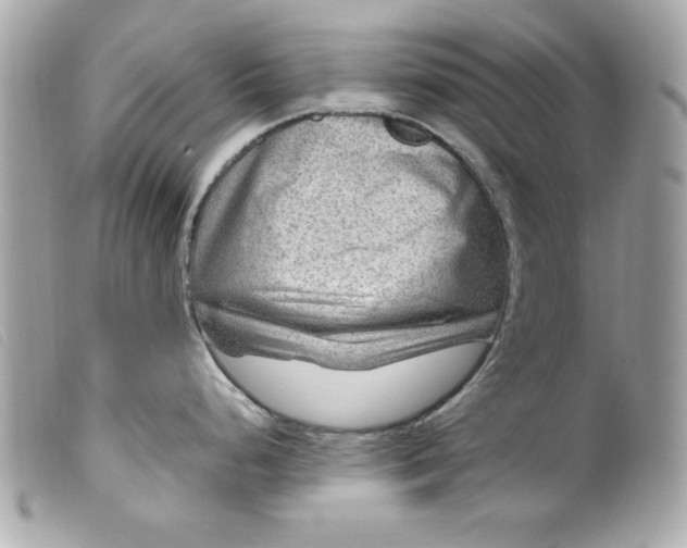 X0000099531248200805301433