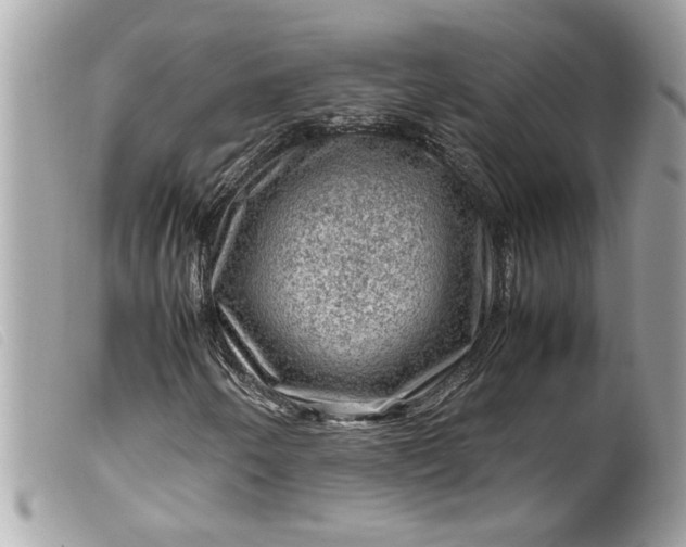 X0000099531250200805301432