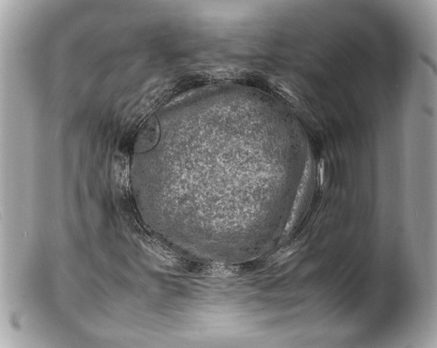 X0000099531251200805301432
