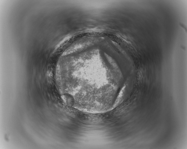 X0000099531254200805301432
