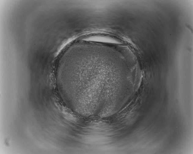 X0000099531256200805301432