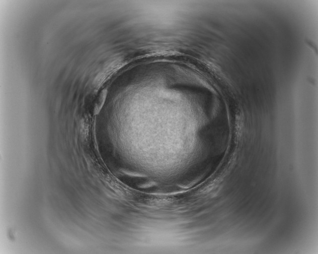 X0000099531257200805301432
