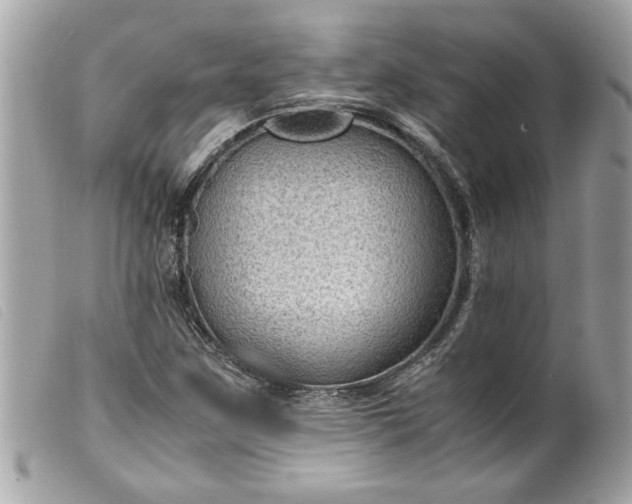 X0000099531259200805301432