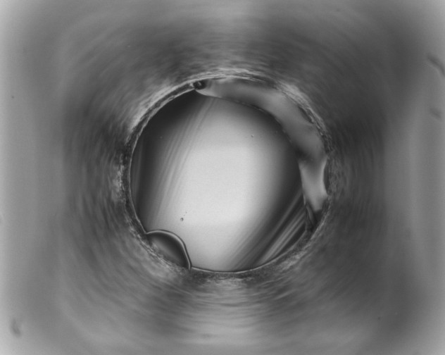 X0000099531260200805301432