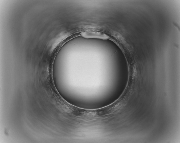 X0000099531261200805301432