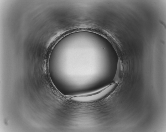 X0000099531262200805301432