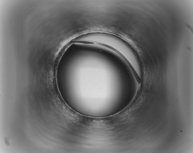 X0000099531264200805301432