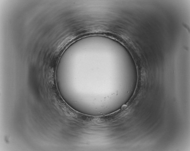 X0000099531265200805301432