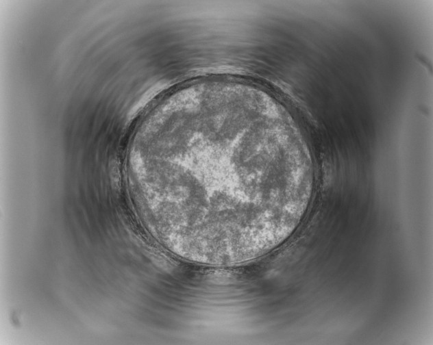 X0000099531266200805301432