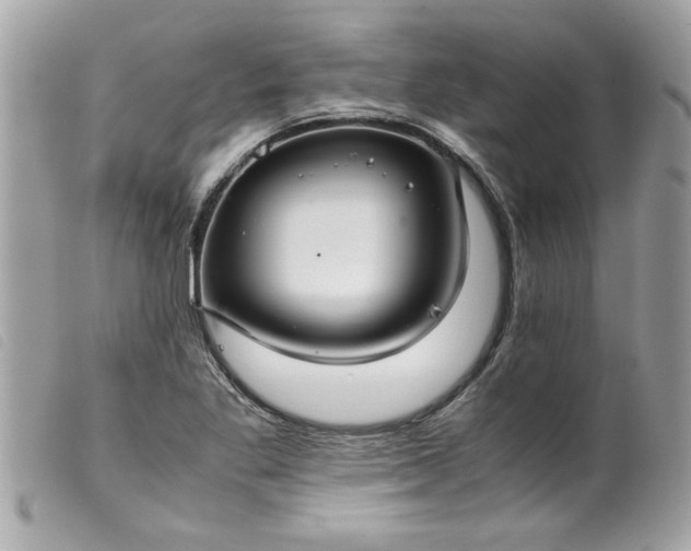X0000099531269200805301432