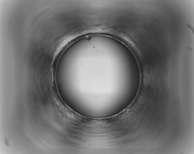 X0000099531270200805301432