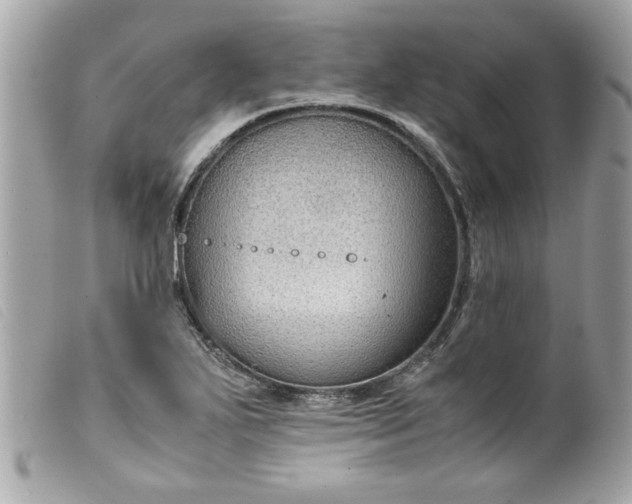 X0000099531271200805301432