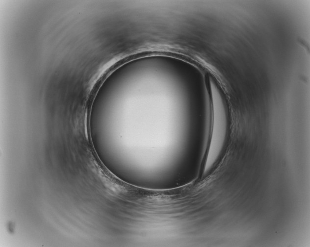 X0000099531272200805301432