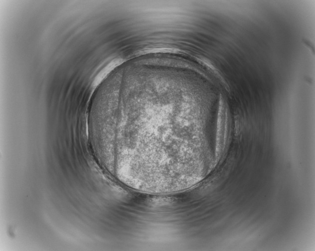 X0000099531274200805301432