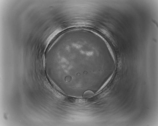 X0000099531275200805301432