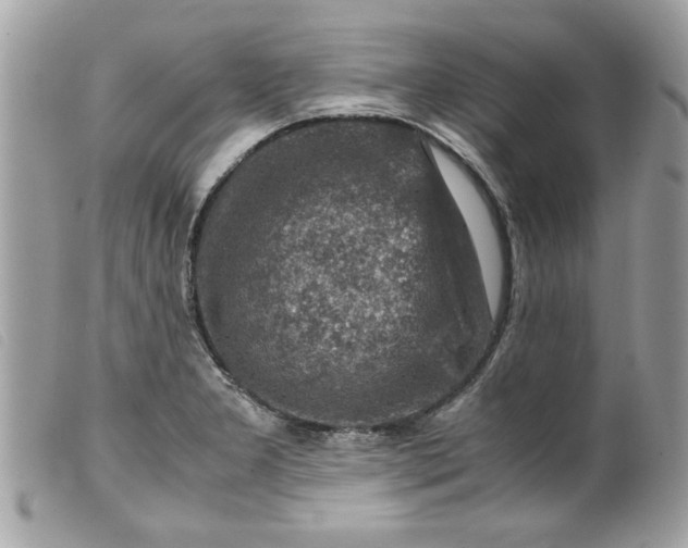 X0000099531277200805301432