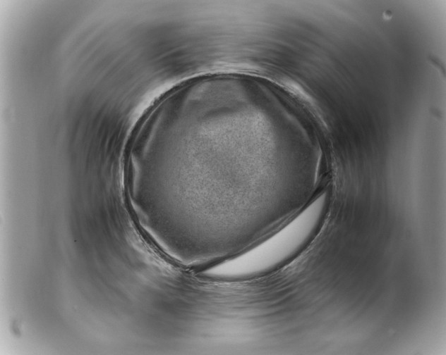 X0000099531280200805301432