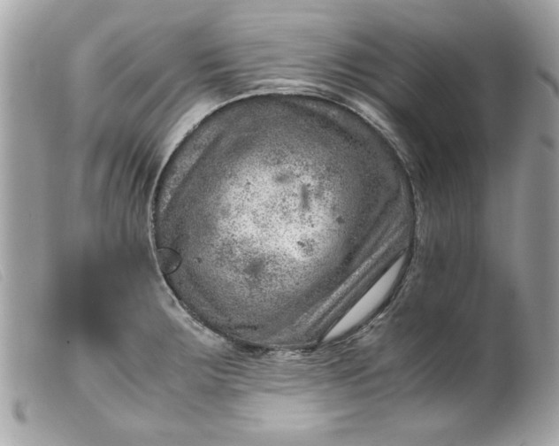 X0000099531283200805301432