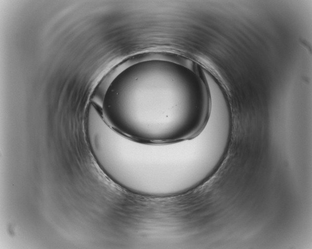 X0000099531284200805301432