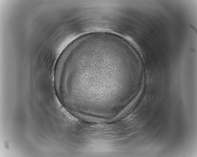X0000099531287200805301432