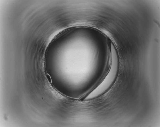 X0000099531288200805301432