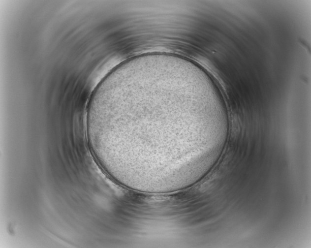 X0000099531290200805301432