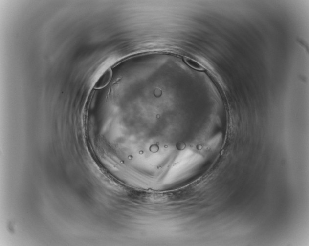 X0000099531291200805301432