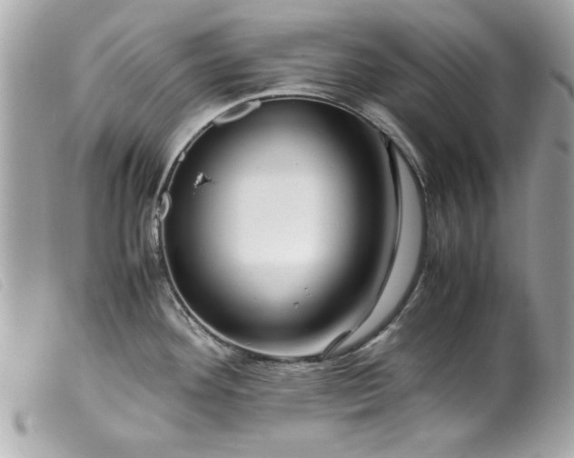 X0000099531292200805301432