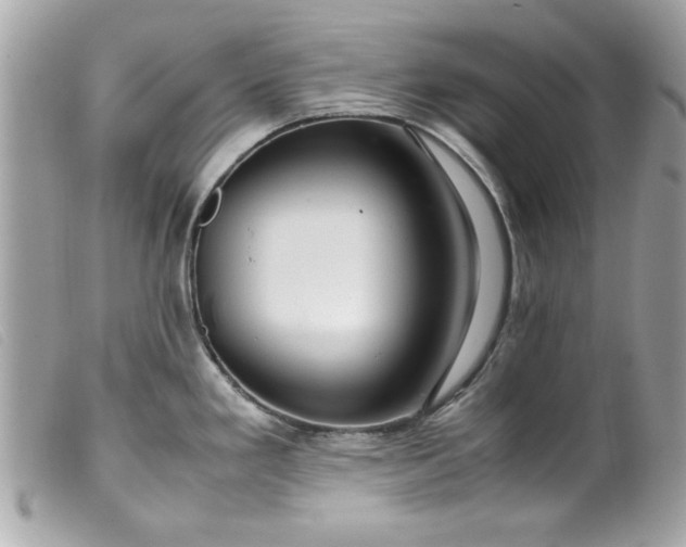 X0000099531293200805301432