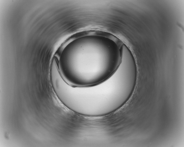 X0000099531296200805301432