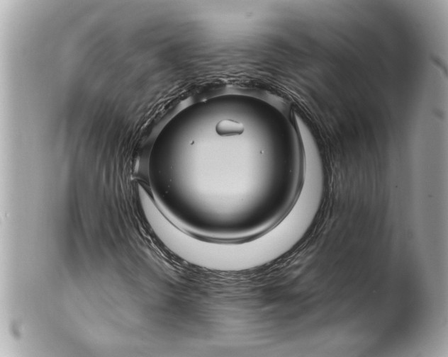 X0000099531298200805301431