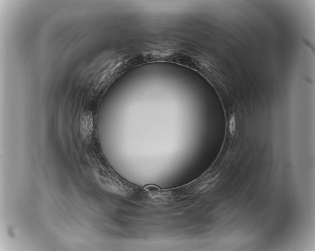 X0000099531299200805301431