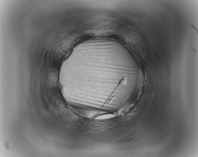 X0000099531300200805301431