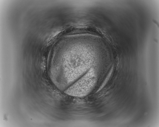 X0000099531301200805301431