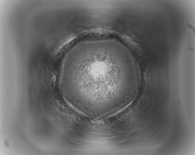 X0000099531302200805301431