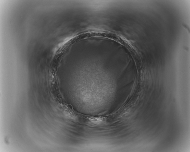 X0000099531303200805301431