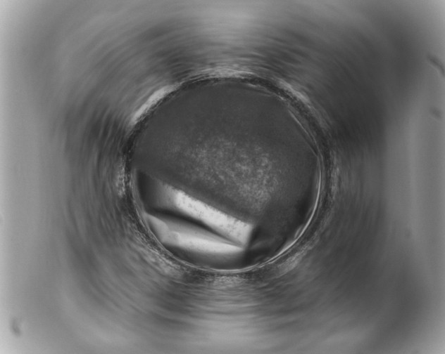 X0000099531306200805301431