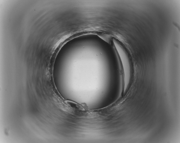 X0000099531308200805301431