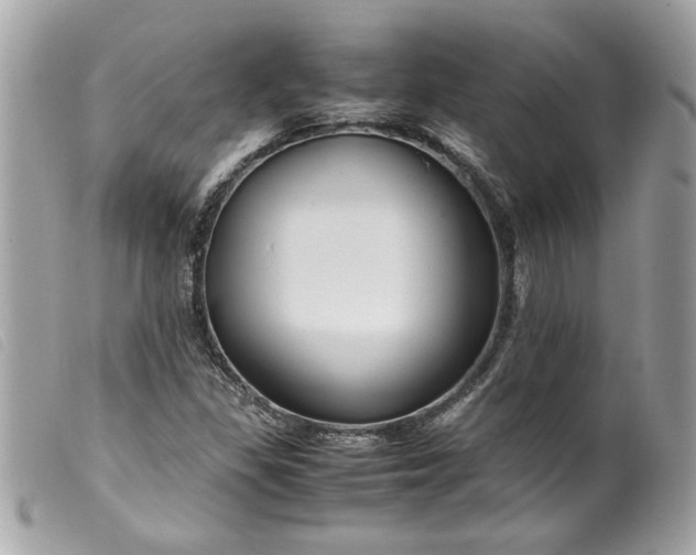 X0000099531309200805301431
