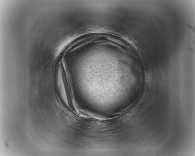 X0000099531311200805301431