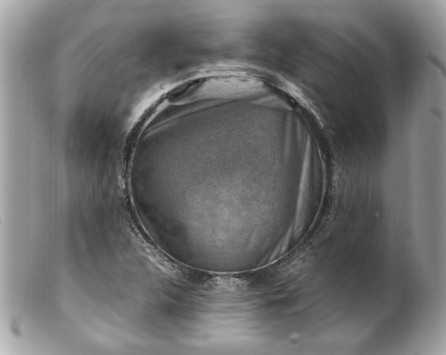 X0000099531312200805301431