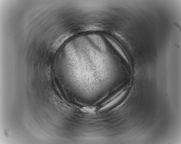 X0000099531313200805301431