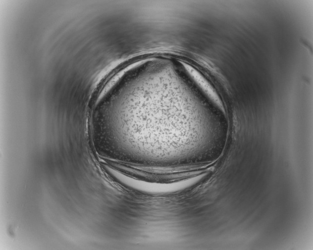 X0000099531316200805301431