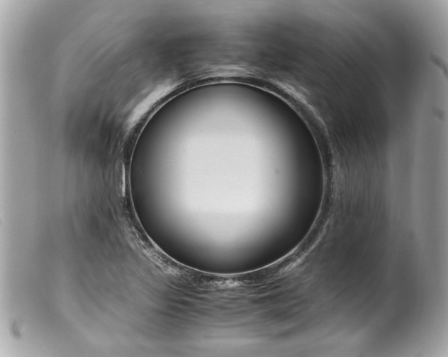 X0000099531317200805301431