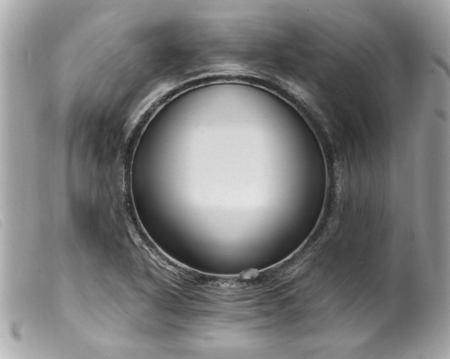 X0000099531318200805301431
